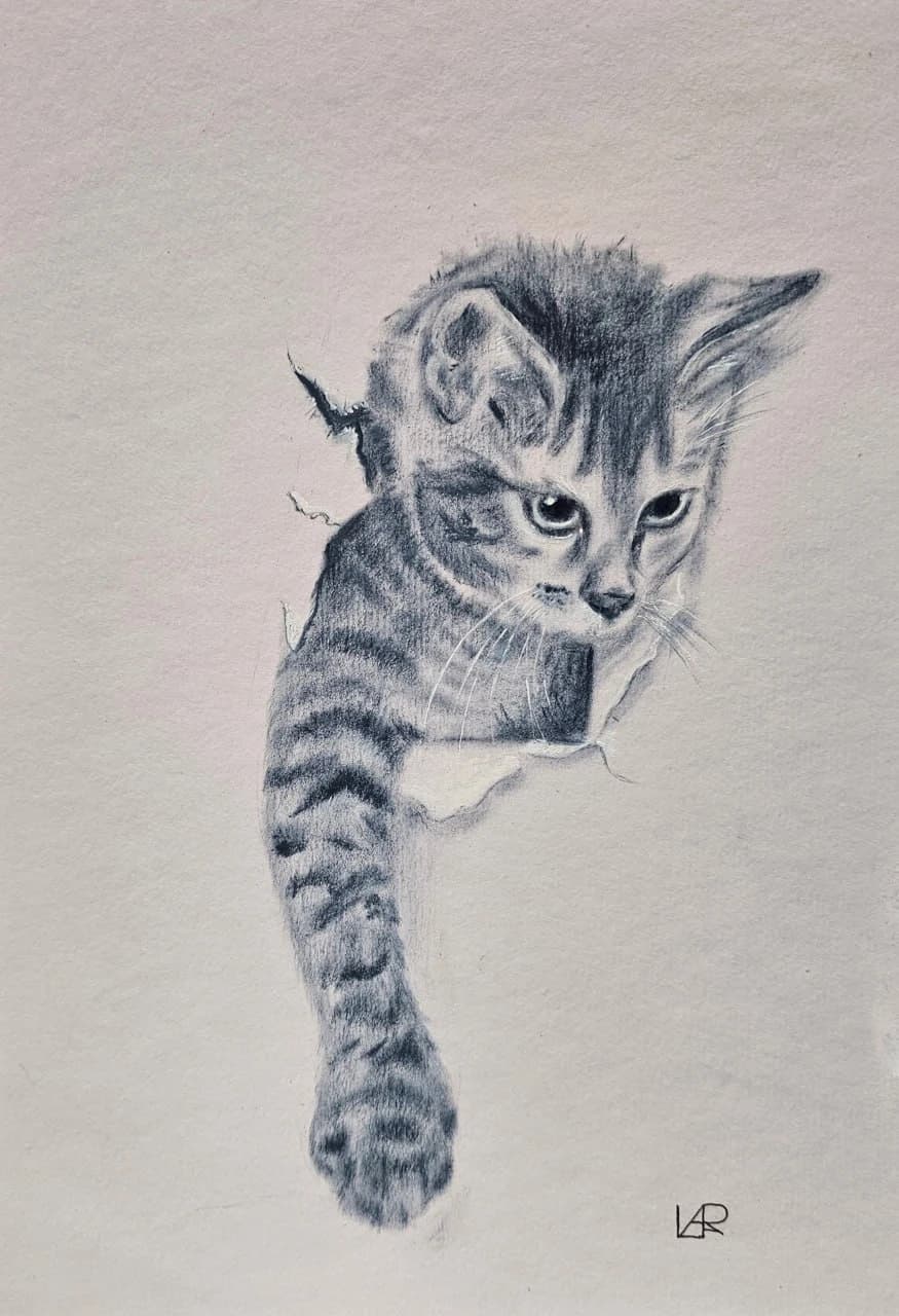Котенок