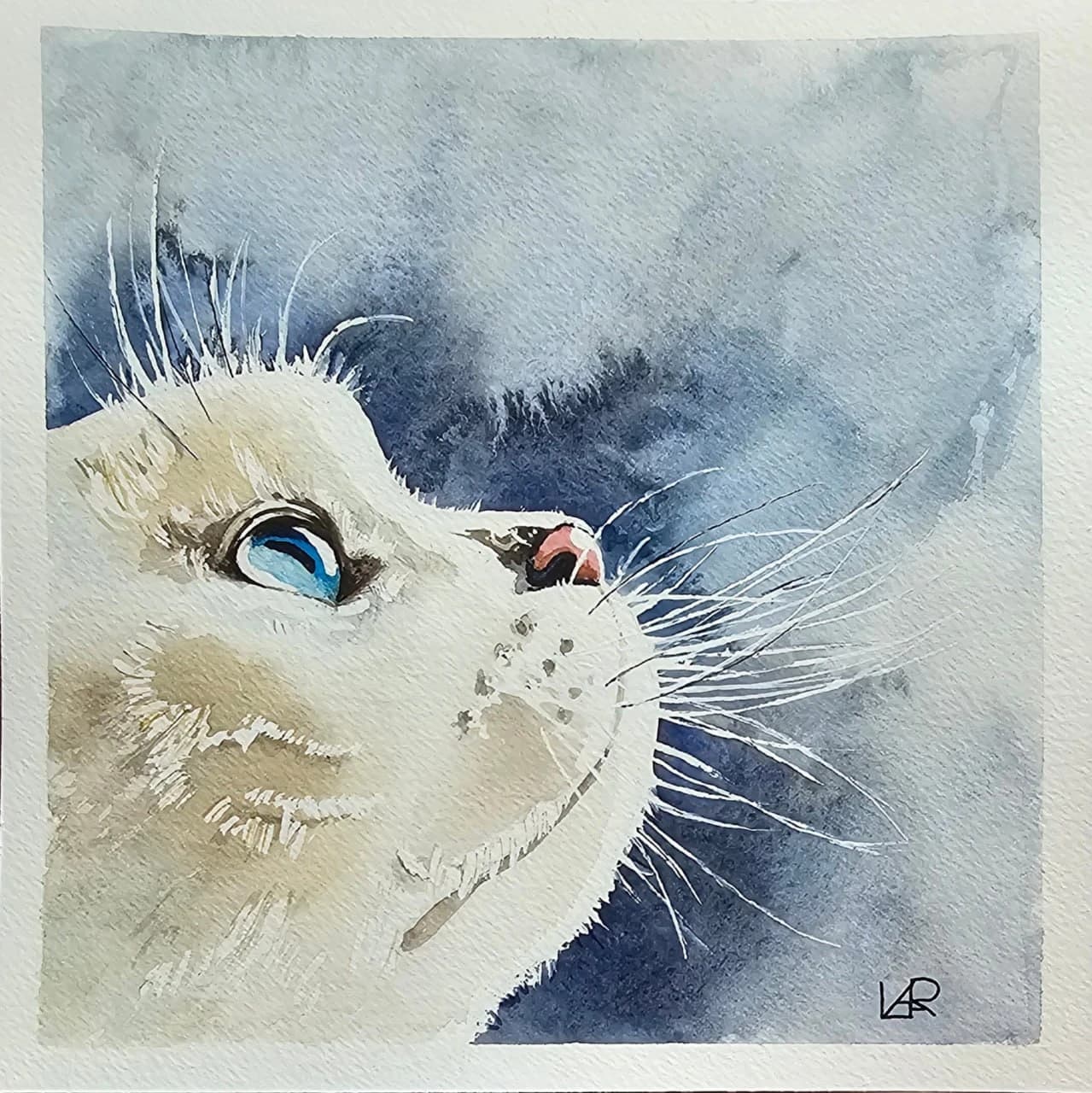 Белая кошечка
